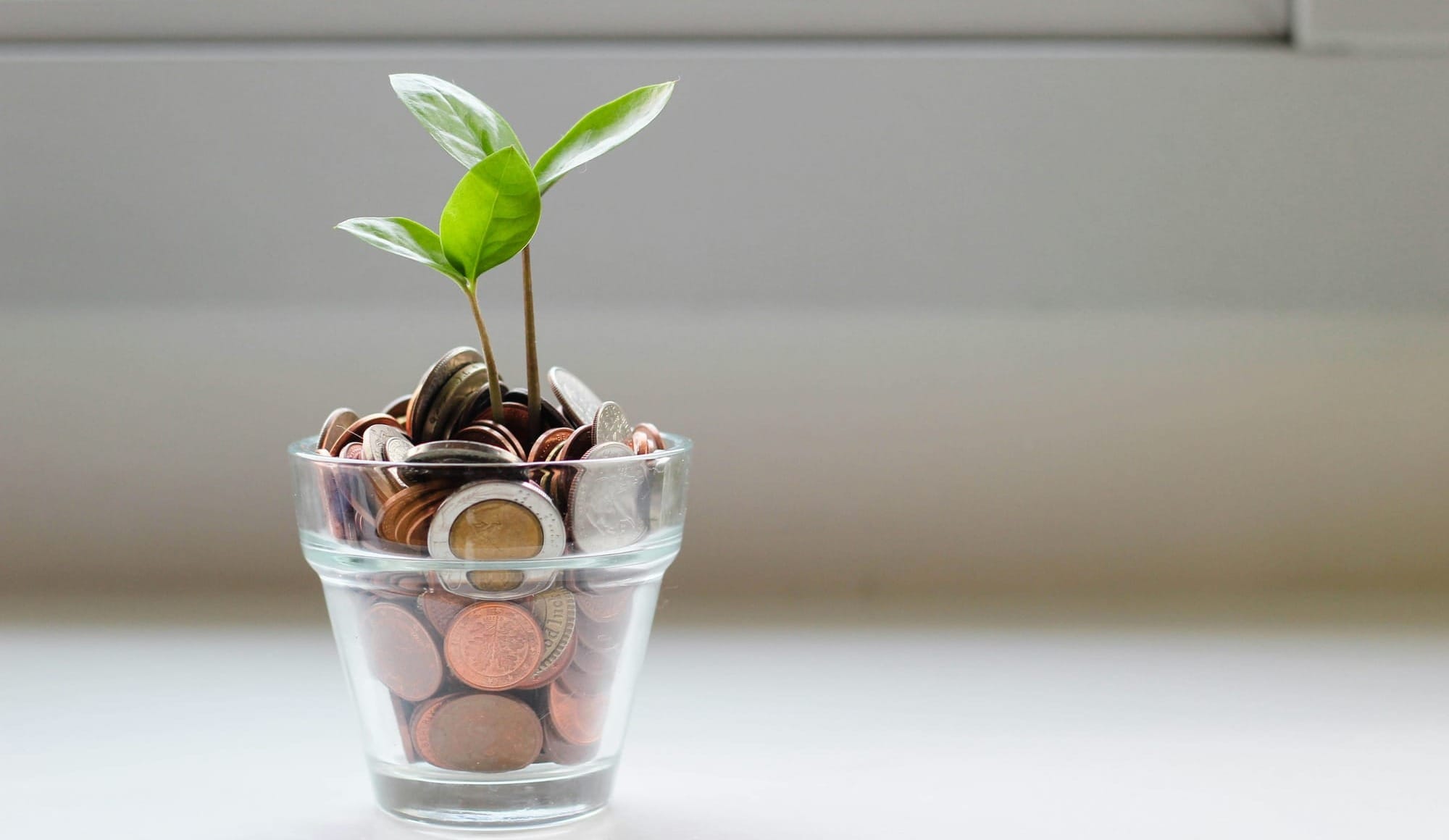 App-ads.txt for SSPs: Grow Revenue in 4 Easy Steps