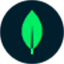 Atlas Device by MongoDB